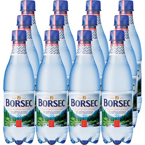 Bax 12 Buc Apa minerala borsec, 0.5 L, pet